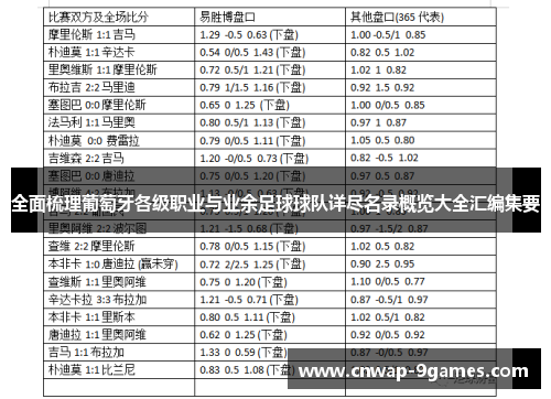 全面梳理葡萄牙各级职业与业余足球球队详尽名录概览大全汇编集要 全面梳理葡萄牙各级职业与业余足球球队详尽名录概览大全汇编集要